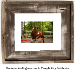 horseback riding near me in Temple City, California